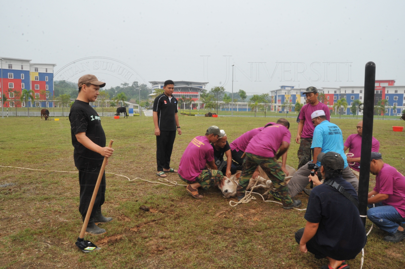 PRO15 150 KORBAN HAS 6688